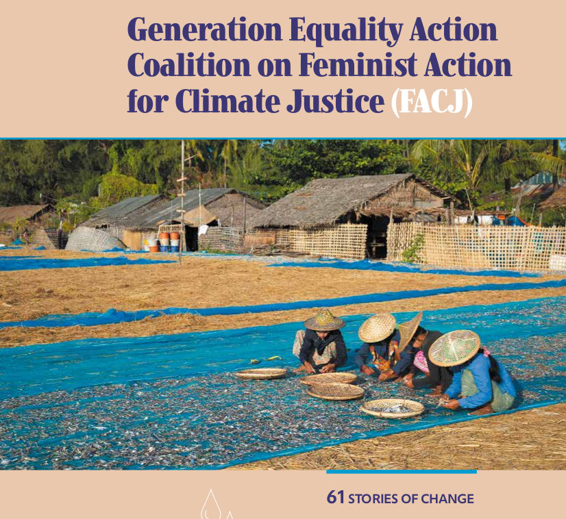 FACJ Action Coalition’s 61 Stories of Change Book cover